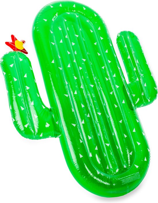 Didak cactus luchtmatras