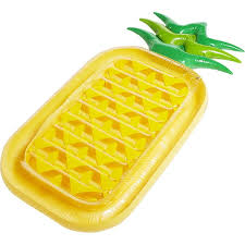 [69640] Didak Ananas luchtmatras
